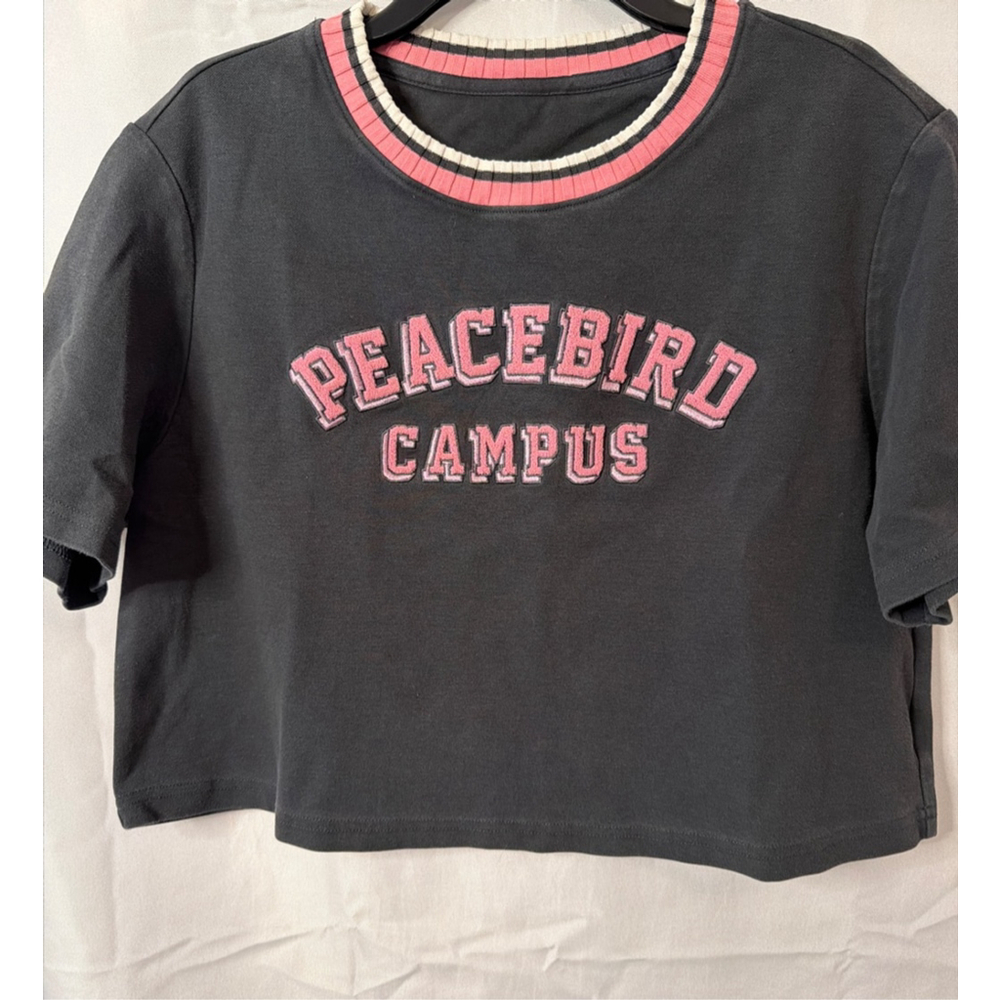 Peacebird Campus Cropped Boxy Varsity Baby Tee Medium Y2K Collegiate Athleisure